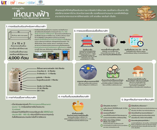 เห็ด