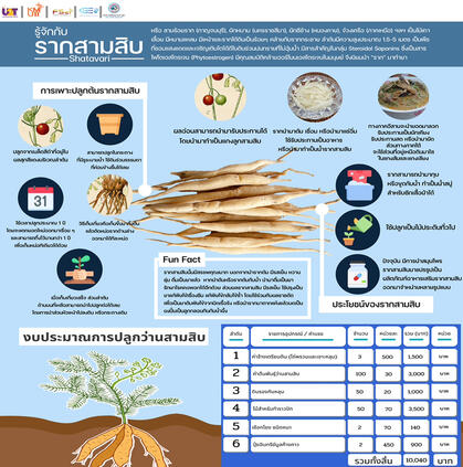 ว่านสามสิบ
